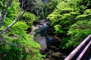 2023年5月　京都府京都市　清滝　