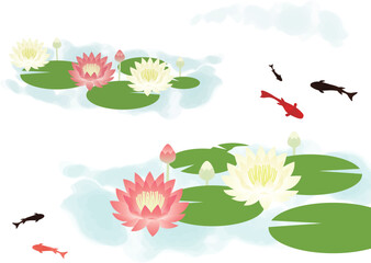 睡蓮が咲いて金魚が泳いでいる池の背景イラスト