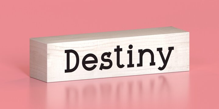 Destiny - word on wooden block - 3D illustration