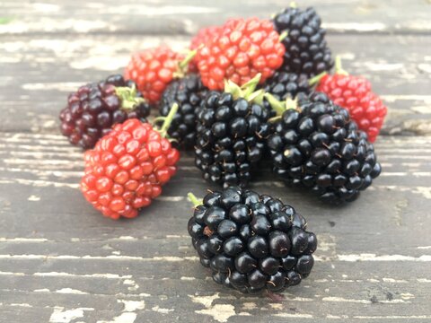 blackberry