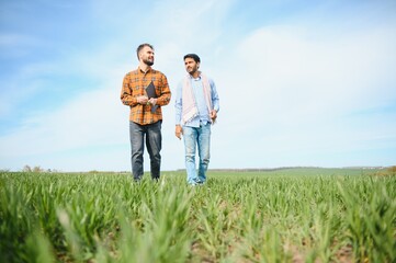 Two indian farmer standing at agriculture field. The concept of agriculture