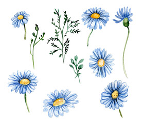 Blue chamomile flowers set. For nursery, baby shower, invitation for birthday party. Watercolor illustration for greeting card, posters, stickers, packaging.