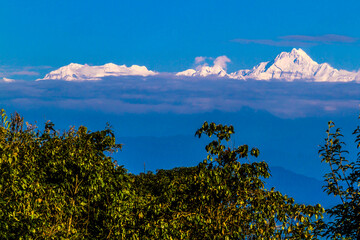 landscape in the morning