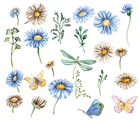 Blue and white chamomile flowers set with butterflies .For nursery, baby shower, invitation for birthday party. Watercolor illustration for greeting card, posters, stickers, packaging.