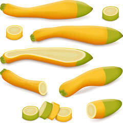 Set with whole, half, quarter, slices, and wedges of Zephyr Squash. Summer squash. Cucurbita pepo. Fruits and vegetables. Vector illustration isolated on white background.
