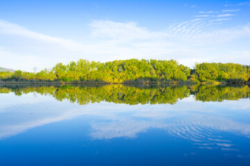calm, reflection, river, water, lake, calmness, calming, concept, quiet, relax, tranquility, quietness, spring, serenity, silence, quiescence, blue, green, background, ease, nature, mirror reflection.