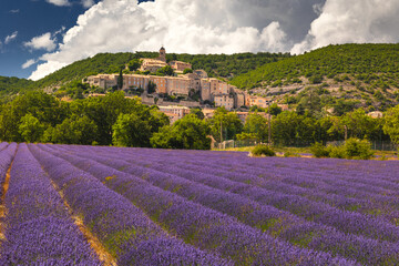 Summer, sunny and warm view of the lavender fields in Provence near the town of Valensole in France. Lavender fields have been attracting crowds of tourists to this region for years.