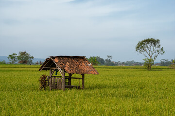 The hut in the rice field, west java