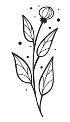 Hand drawn doodle thistle herb, isolated vector illustration with white background