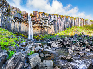 Breathtaking view of Svartifoss waterfall with basalt columns on South Iceland.