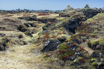 Volcanic landscape of the west part of Iceland