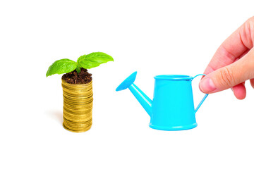 Tiny Watering Can in Hand by a Coins Stack with Young Sprouting © Katie Chizhevskaya