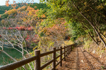 Minoh Park Minoogawa Dam lake trail road with autumn leaves in Osaka, Japan