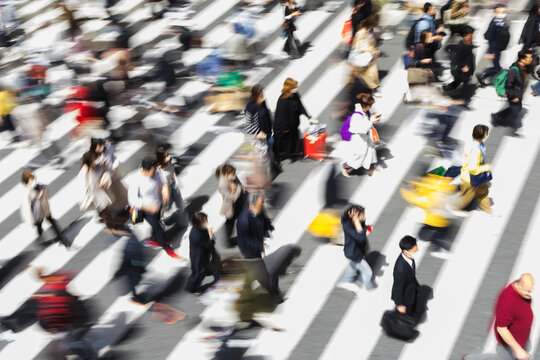 Picture With Intentional Motion Blur Of Crowds Of People Crossing A City Street In Tokyo, Japan