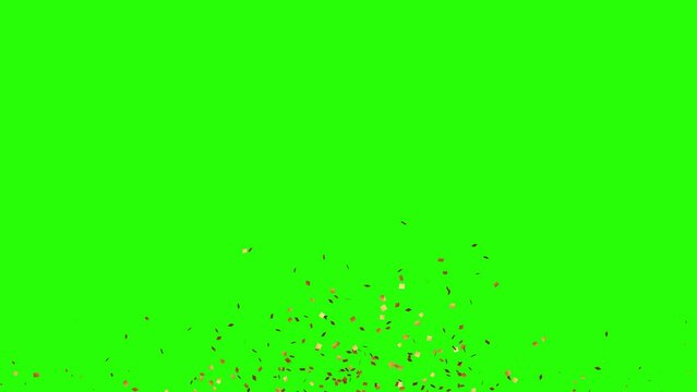 Golden Confetti Party Popper Explosion on a Green screen. 4k