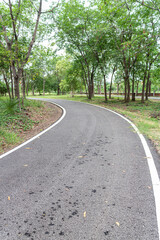 Fototapeta na wymiar Asphalt road in the park with tree and green grass background.