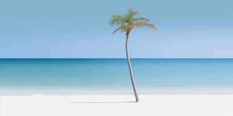 Fototapeta na wymiar Palm tree on the tropical beach