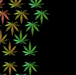 cannabis leaf  isolated on white background, marijuana weed, plant illustration,  illegal