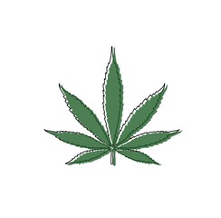 cannabis leaf  isolated on white background, marijuana weed, plant illustration,  illegal