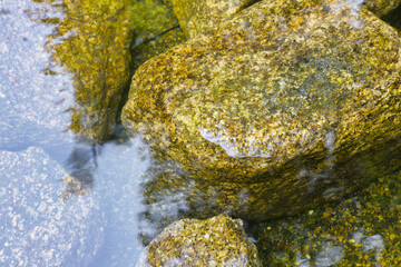 rocks under the water surface of a pond