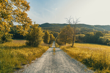 Naklejka premium path between agricultural fields with hills in the background