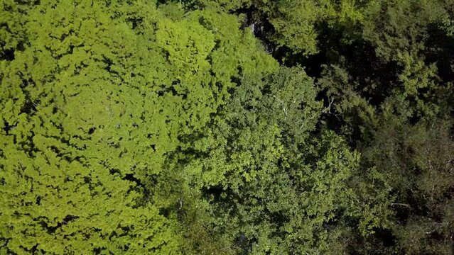岐阜県中津川市、付知川の上流、高樽の滝。