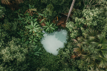 Fervedouros are hot spring waters of high density, making it easier to float in the water. A major Jalapao attraction