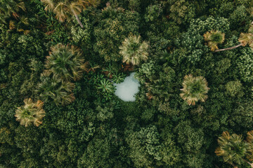 Fervedouros are hot spring waters of high density, making it easier to float in the water. A major Jalapao attraction