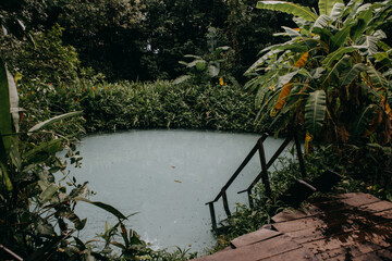 Fervedouros are hot spring waters of high density, making it easier to float in the water. A major Jalapao attraction
