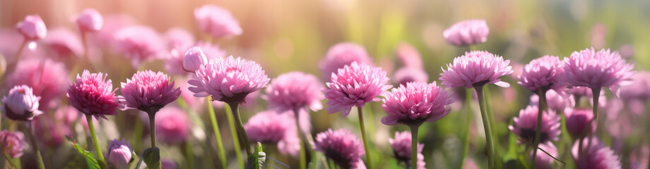 Obraz premium Colorfull flowering summer meadow with red pink poppy flowers. Wild summer flowers field. Summer landscape background with beautiful flowers. Extra wide banner. Generative AI