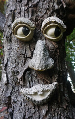 Pareidolia face in a tree trunk