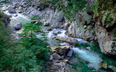 Panorama con torrente che scorre tra rocce, alberi e pareti rocciose, in estate.  Acqua che scorre...