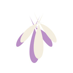 Patel Abstract Shape