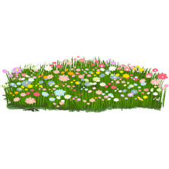 Obraz premium Grass and flowers 