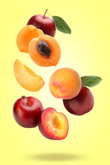 Flying apricots and plums on yellow background