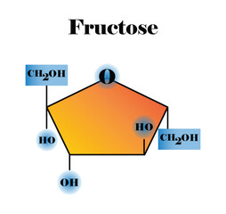 illustration of biology and chemistry, Fructose molecular, Molecular formula and chemical structure of fructose, fructose monosaccharide, simple sugar