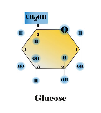 illustration of chemistry and biology, Glucose, Structural chemical formula and model, Chemical structure of glucose, Sugar, carbohydrates