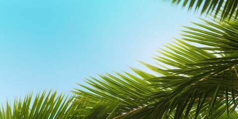 World Environment Day concept: Palm Tree Leaves  on blue sky background, Generative AI