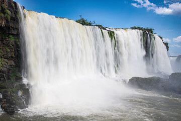 Obraz premium The Iguazu Falls surrounded by lush rainforests teeming with life provide a glimpse into