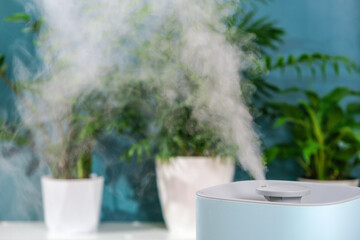 The ultrasonic humidifier releases cold steam. Care and hydration of plants in dry air. Humidifier in the bedroom for cough and dryness.
