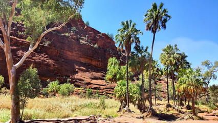 Absolute outback of the Northern Territory, Australia