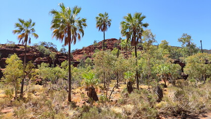 Absolute outback of the Northern Territory, Australia