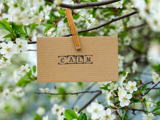 Piece of cardboard with the word Calm on it hanging on a cherry tree branch with blossoms using a...