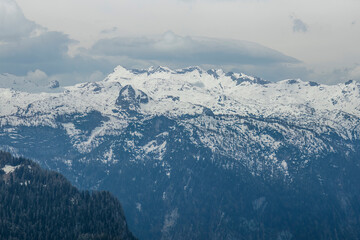 Fototapeta na wymiar Alps of Austria in summer landscape