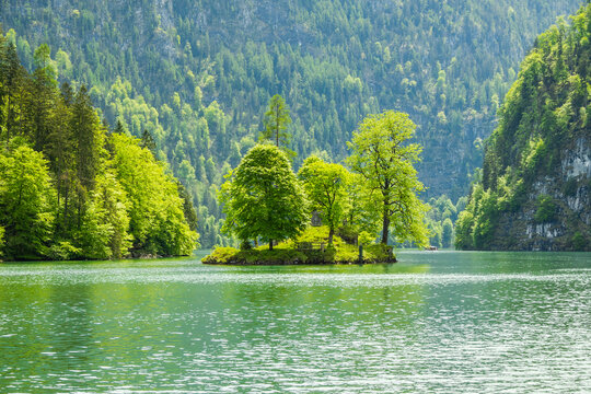 island with trees on the lake