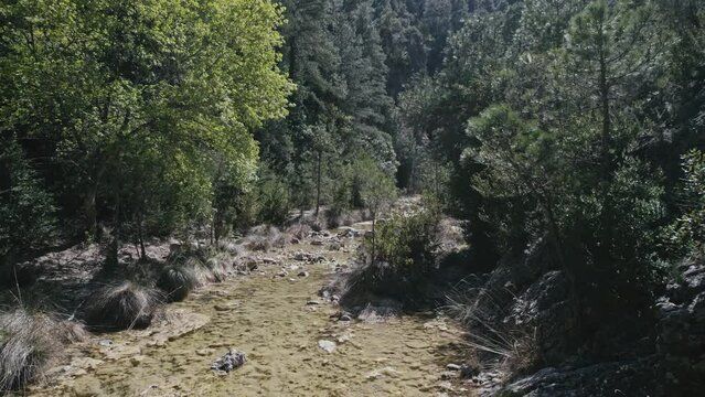 Aerial view of water stream in a forest, Parrizal de Beceite, Rio, Spain.