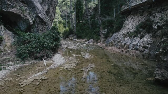 Aerial view of water stream in a forest, Parrizal de Beceite, Rio, Spain.
