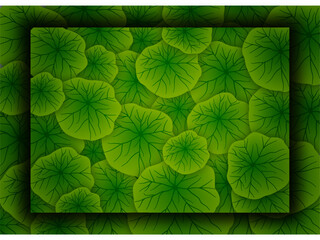 Beautiful green leaf for nature's background