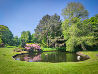 Scenic view of a pond in city park "Westbroekpark" in the city of The Hague on a beautiful day in spring