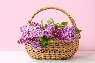 Fototapeta na wymiar Wicker basket with beautiful lilac flowers on table against pink background